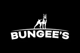 bungees s logo.png